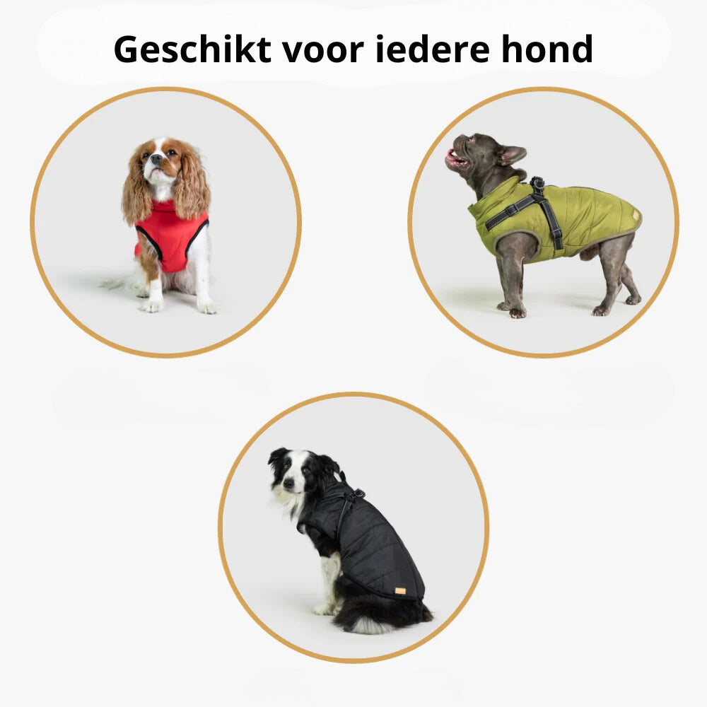 WinterBuddy Hondenvest | Best seller!