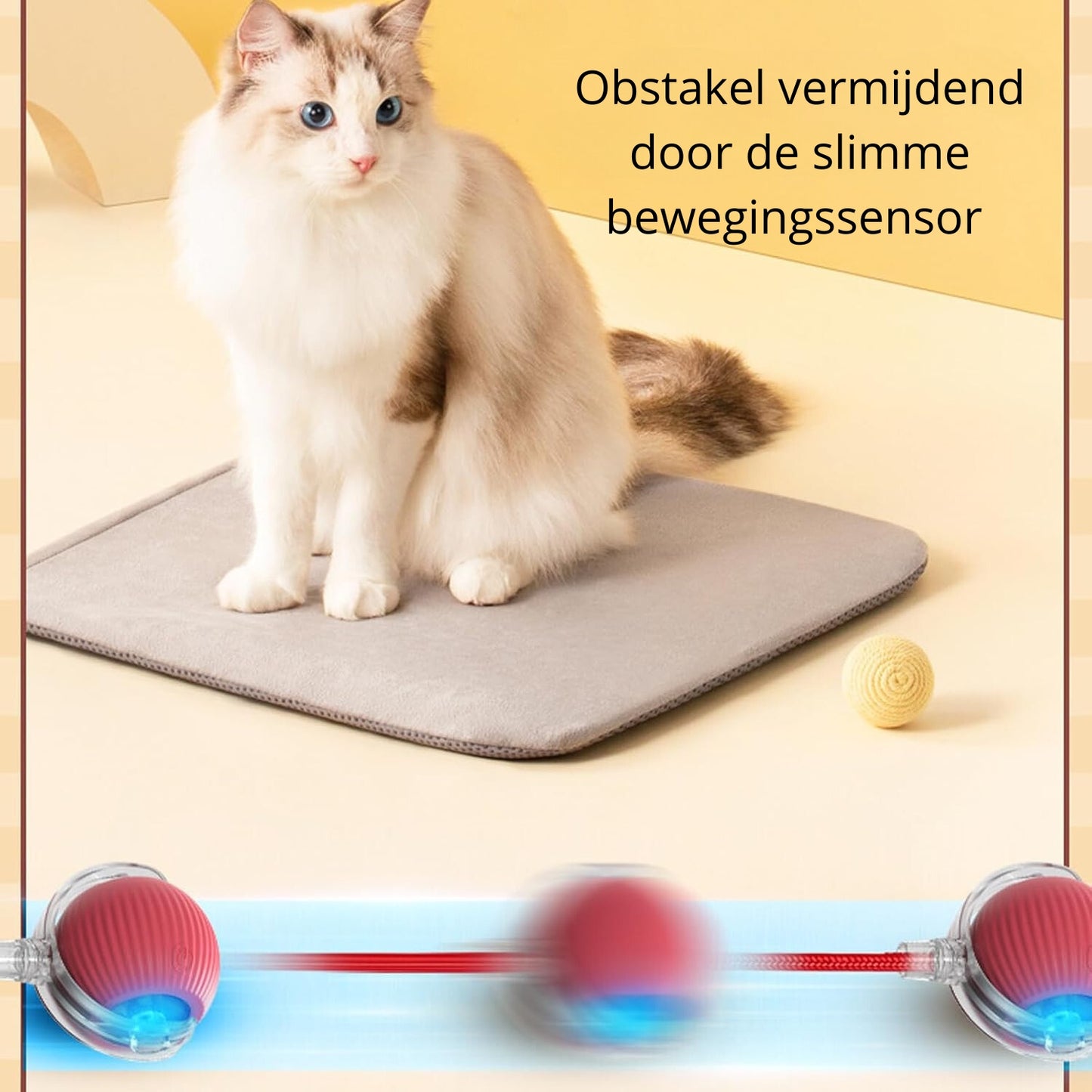 Interactieve Speelbal | Eindeloos plezier