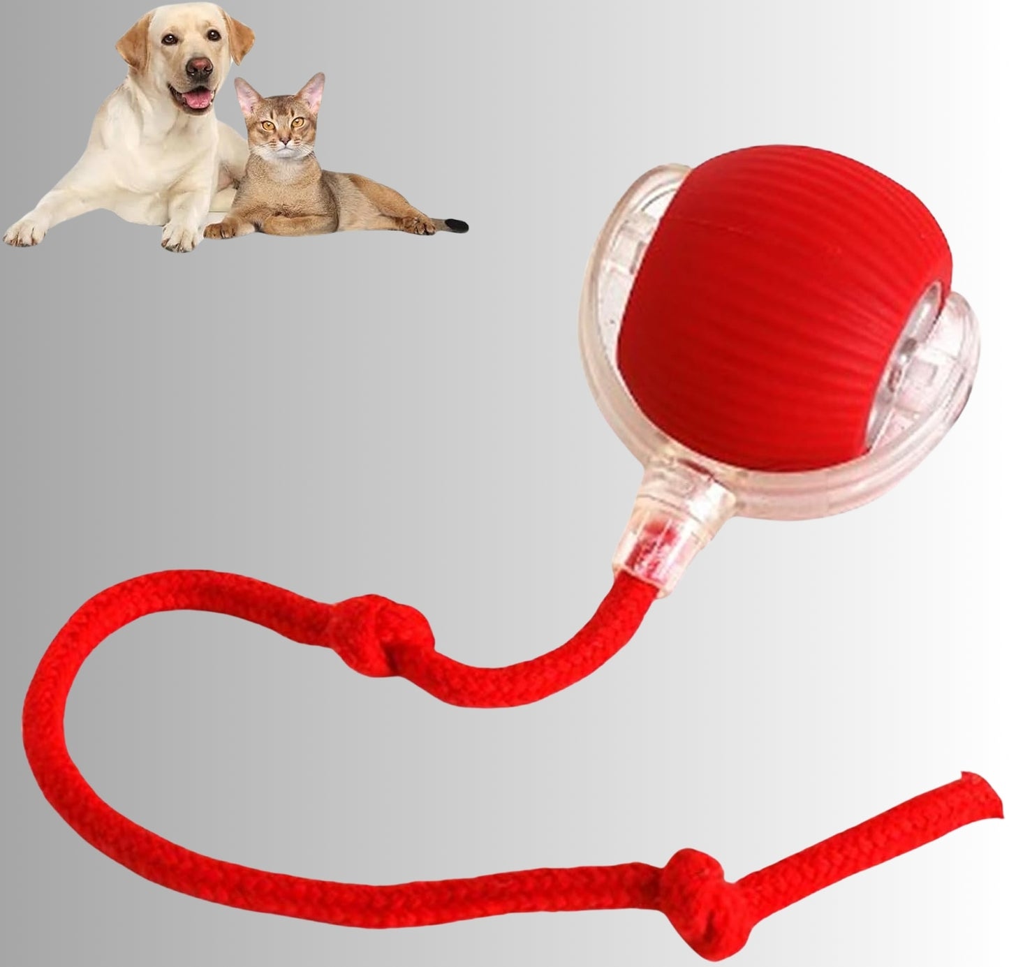 Interactieve Speelbal | Eindeloos plezier