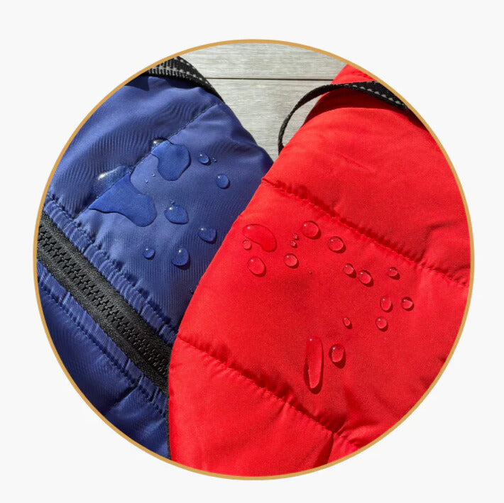 WinterBuddy Hondenvest | Best seller!