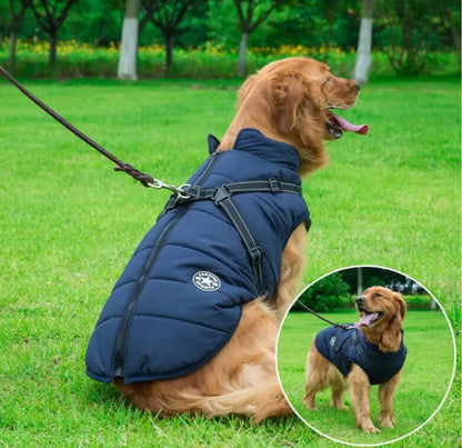 WinterBuddy Hondenvest | Best seller!