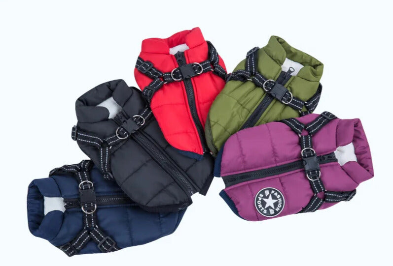 WinterBuddy Hondenvest | Best seller!