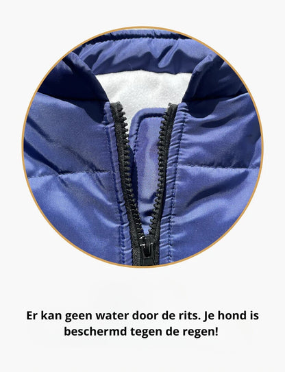 WinterBuddy Hondenvest | Best seller!