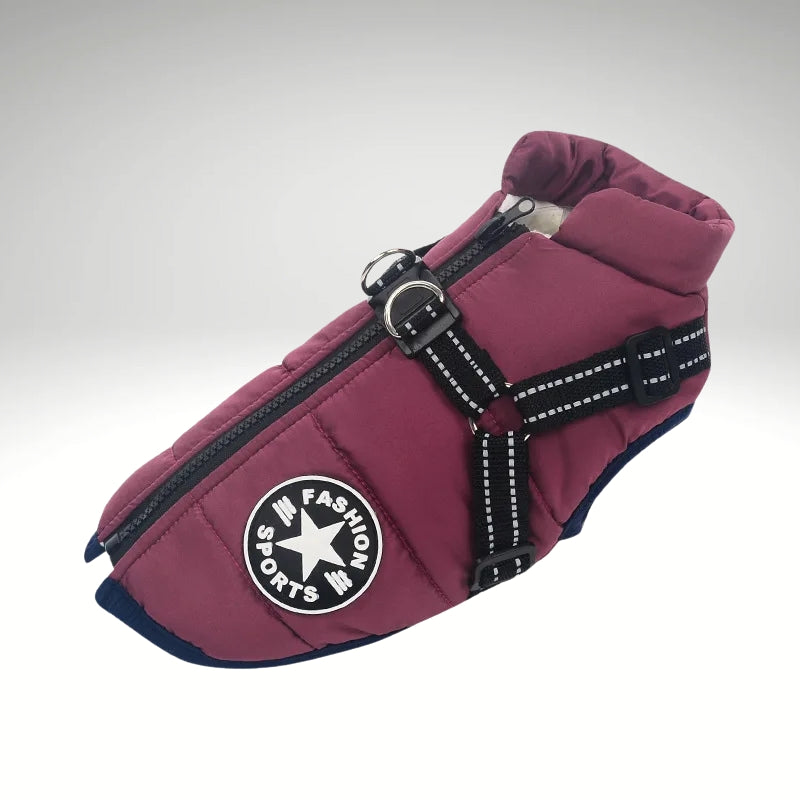 WinterBuddy Hondenvest | Best seller!