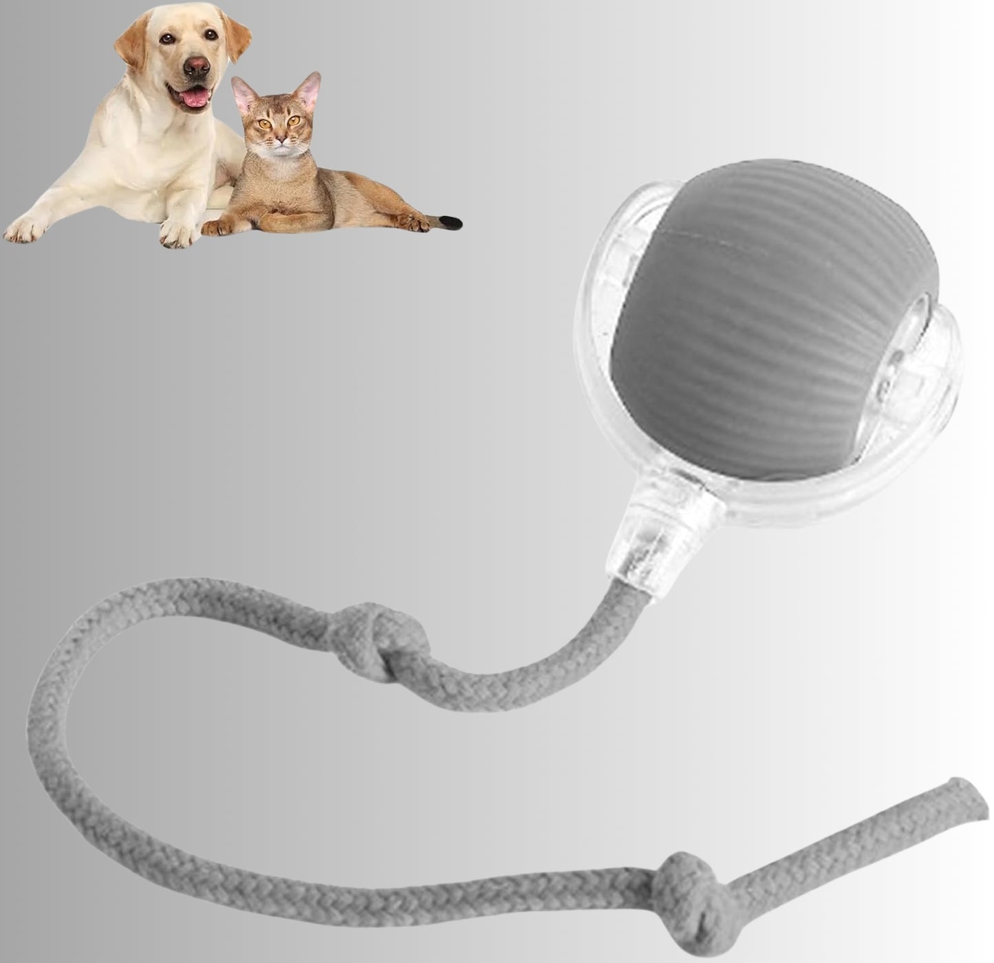 Interactieve Speelbal | Eindeloos plezier