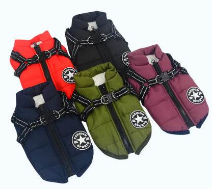 WinterBuddy Hondenvest | Best seller!